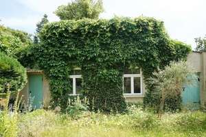 Für Naturliebhaber und Bahnfans – Die vollständige Adresse der Immobilie erhältst du vom Anbieter., 23972 Dorf Mecklenburg – Vorschaubild 6