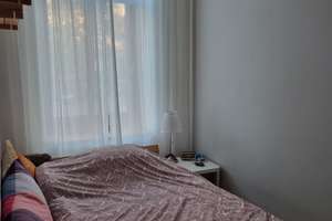 2 - Raum incl. Einbauküche, Echtholzdielung – Adam-Kuckhoff-Str 11, 6108 Nördliche Innenstadt, Halle (Saale) – Vorschaubild 5