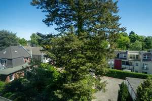 Property thumbnail 8