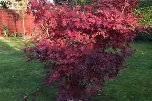 Property thumbnail 28