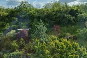 Projensdorf: geräumige Doppelhaushälfte mit individuellen Akzenten und Dachterrasse – Lena-Schröder-Weg 35, 24106 Wik, Kiel – Vorschaubild 19