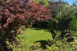 Alltagstaugliches Doppelhaus mit 4,5 Zimmern in Wolfsburg – An der Lehmkuhle 23, 38442 Mörse, Wolfsburg – Vorschaubild 3