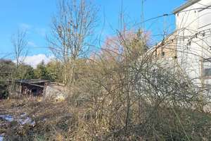 Seltene Gelegenheit am Ortsrand von Lenting – Großes Traumgrundstück, Haus, Natur & Potential – Guttenbergerstr. 40, 85101 Lenting – Vorschaubild 14