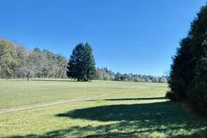 Natur und Familie: Zauberhaftes Kleinod in Pforzheim mit Land ! – Die vollständige Adresse der Immobilie erhältst du vom Anbieter., 75181 Hohenwart, Pforzheim – Vorschaubild 1