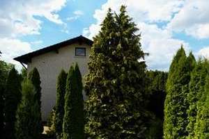 Einfamilienhaus mit Appartement und großem Garten – Die vollständige Adresse der Immobilie erhältst du vom Anbieter., 34479 Breuna – Vorschaubild 4
