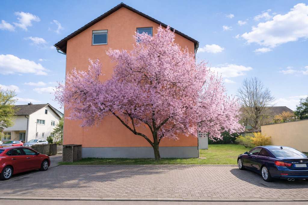 Immobilie in Forst - Gemütliche, ruhig gelegene 2-Zimmer-Wohnung Hochparterre in Forst! - Bild 2