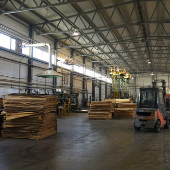 Attraktive Produktionhalle mit Büro und Freifläche | 24/7 Nutzung möglich