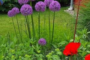 Bungalow in ruhiger Lage – Schleswig-Flensburg (Kreis) – Vorschaubild 7