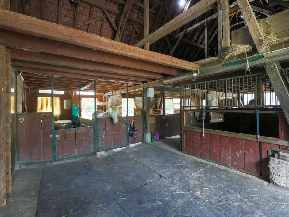 Hausstall/ Paddock-Boxen