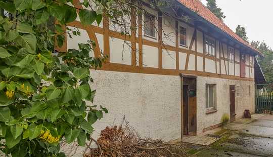 Bild von Haus Kaufen Schellerten Haus Kaufen Ottbergen Schellerten Haus Kaufen Dinklar Haus Kaufen Dingelbe