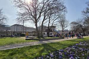 Property thumbnail 17