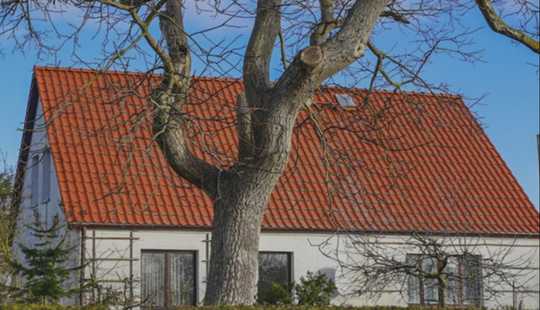 Bild von Im Garten der Möglichkeiten - Ihr Wohlfühlort in Meeresnähe