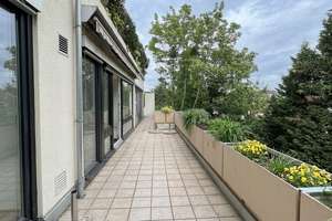 Renovierte, großzügige 6-Zimmer-Wohnung mit zwei Terrassen in begehrter Lage von Ludwigshafen-Süd – 67061 Süd, Ludwigshafen am Rhein – Vorschaubild 14