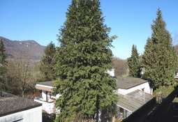 Ausblick