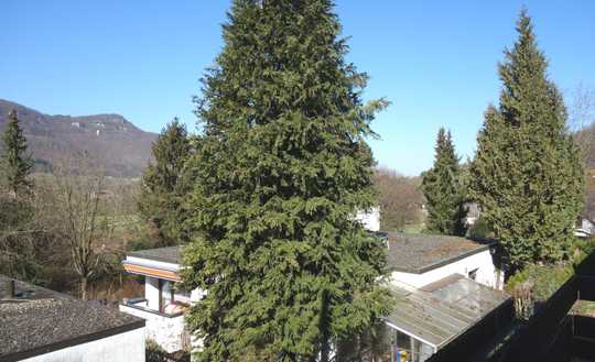 Reiheneckhaus in Bad Urach, nah am Kurzentrum und Thermalbad