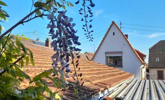 Haus für Ihre Wohnideen