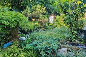 Wuppertal - charmantes Reihenhaus mit schönem Garten und Sauna sucht neuen Wirkungskreis. – Wuppertal – Vorschaubild 27