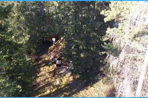 DIPL.-Immowirt MAIER !! VILLA auf parkähnlichem Grundstück in ruhiger Lage - wartet auf Sanierung !! – Die vollständige Adresse der Immobilie erhältst du vom Anbieter., 80686 Graggenau, München – Vorschaubild 13