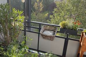 Property thumbnail 16