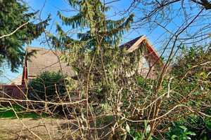 Charmantes Einfamilienhaus – Ostholstein (Kreis) – Vorschaubild 2