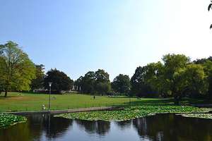 Property thumbnail 11