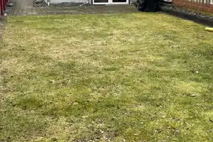 Möbliertes Wohnen auf Zeit in Schildow – 60m2-Doppelhaus-Bungalow mit Garten zur Alleinnutzung – Behrensstraße 45A, 16552 Oberhavel (Kreis) – Vorschaubild 6