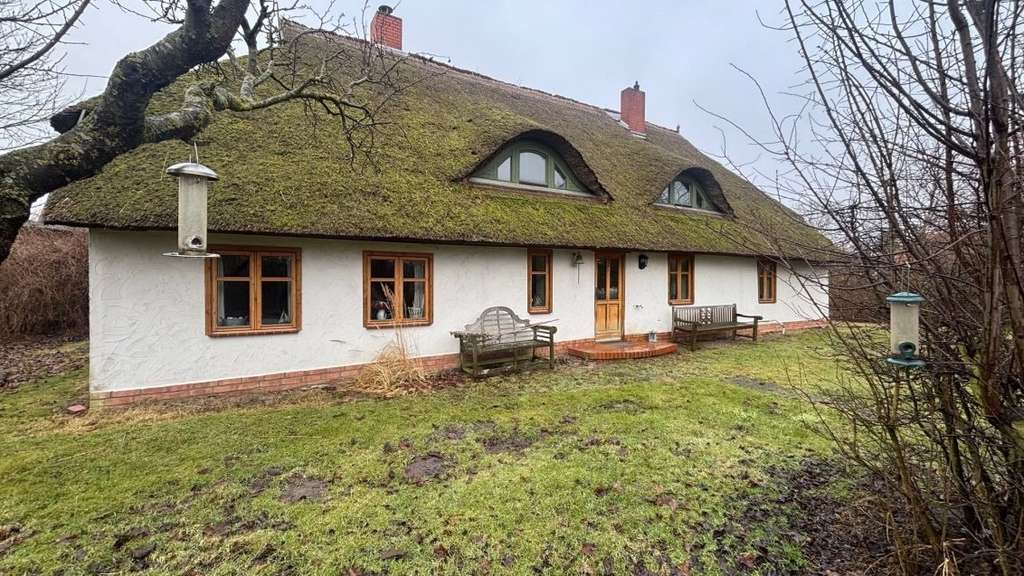 Immobilie in Süderholz - Viel Platz für Naturliebhaber! - Bild 1