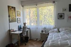 1-Zimmer-Wohnung 