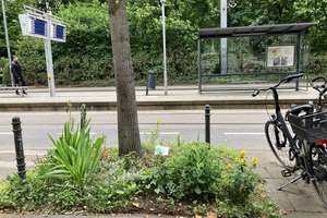 Zentral wohnen in Köln - 2-Zimmer-Erdgeschosswohnung mit großem Garten direkt am Volksgarten – Eifelstr. 46, 50677 Neustadt/Süd, Köln – Vorschaubild 15