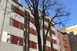 Hochparterre 2 Zimmer-Apartments unweit Körnerpark, ab sofort – Die vollständige Adresse der Immobilie erhältst du vom Anbieter., 12053 Neukölln (Ortsteil), Berlin – Vorschaubild 3