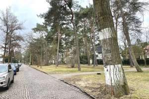 Bezugsfreie 4-Zimmer-Wohnung mit großem Garten und TG-Platz in begehrter Wohnlage - provisionsfrei! – Königsmarckstraße 19, 14193 Grunewald, Berlin – Vorschaubild 25