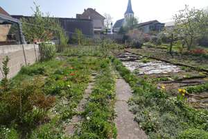Großzügige DHH (renovierungsbedürftig) mit Hof, Garage, Scheune, Schuppen und Garten! – Die vollständige Adresse der Immobilie erhältst du vom Anbieter., 76351 Linkenheim-Hochstetten – Vorschaubild 4
