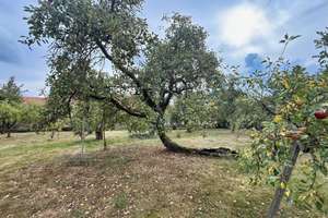 Tradition trifft Moderne Hof mit Obstbaumbestand, großes Baugrundstück, großen Nutzflächen und S – Die vollständige Adresse der Immobilie erhältst du vom Anbieter., 31535 Neustadt am Rübenberge – Vorschaubild 26