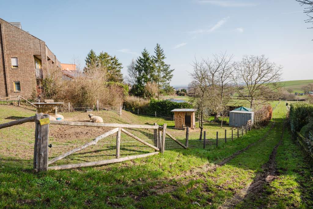Immobilie in Nideggen - MFH mit 5 Wohneinheiten – Architektenhaus in Traumlage mit unverbaubarer Aussicht u. Baupotential - Bild 4