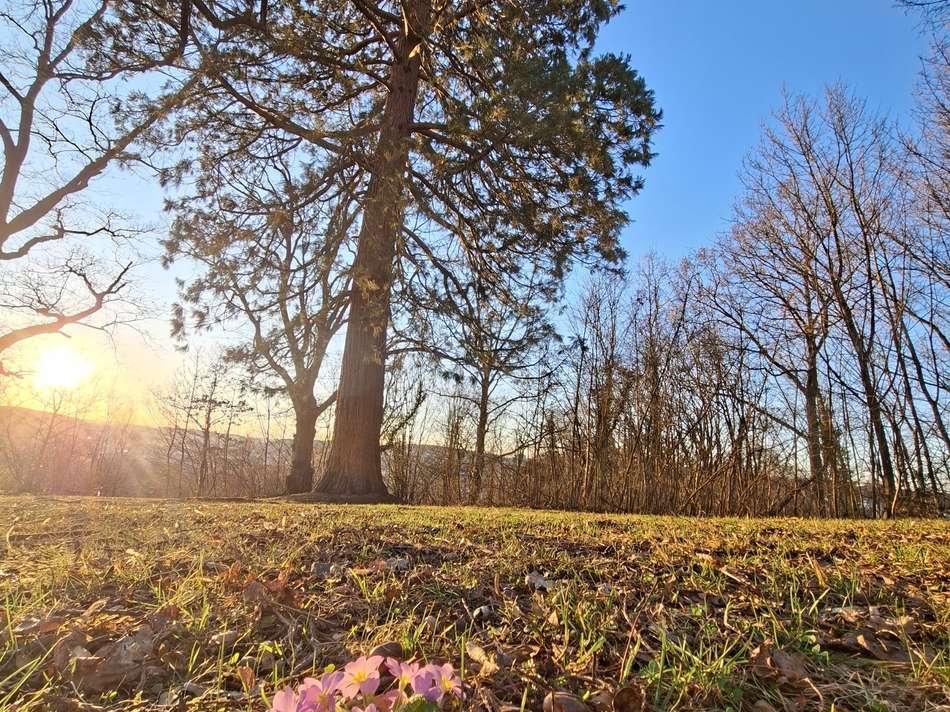 Impressionen vom Österberg