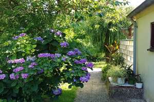 Property thumbnail 5