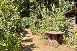 ***ZUHAUSE Haus mit vielen (An-Umbau) Möglichkeiten-zauberhafter kleiner Garten-solide Nachbarn*** – Die vollständige Adresse der Immobilie erhältst du vom Anbieter., 23569 Kücknitz, Lübeck – Vorschaubild 53