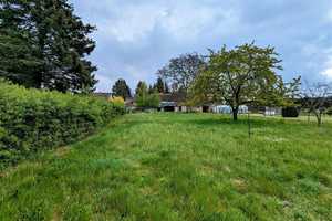 4 Seiten Hof in Neu-Seeland am Sedlitzer See – Oberspreewald-Lausitz (Kreis) – Vorschaubild 3