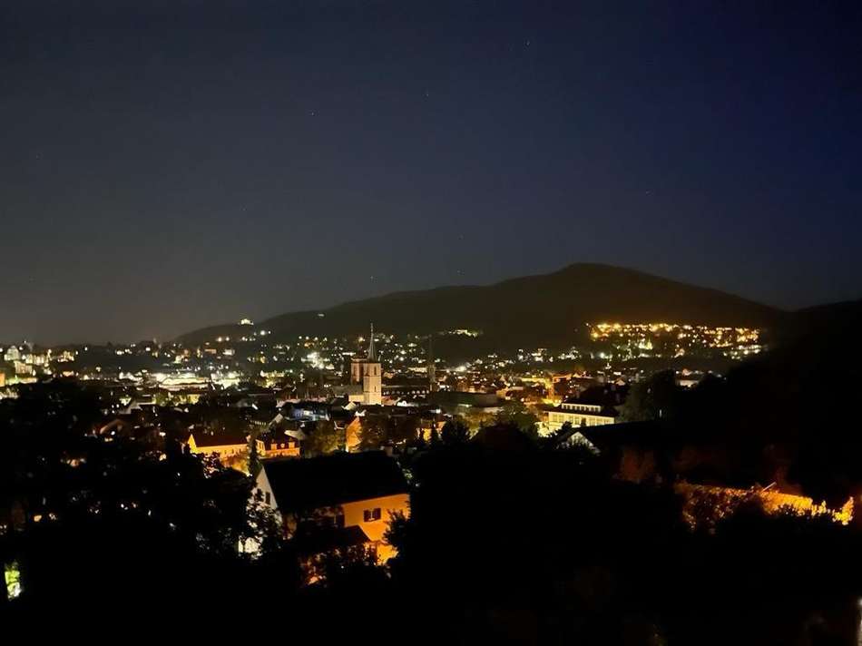 Panoramablick zum Schloss