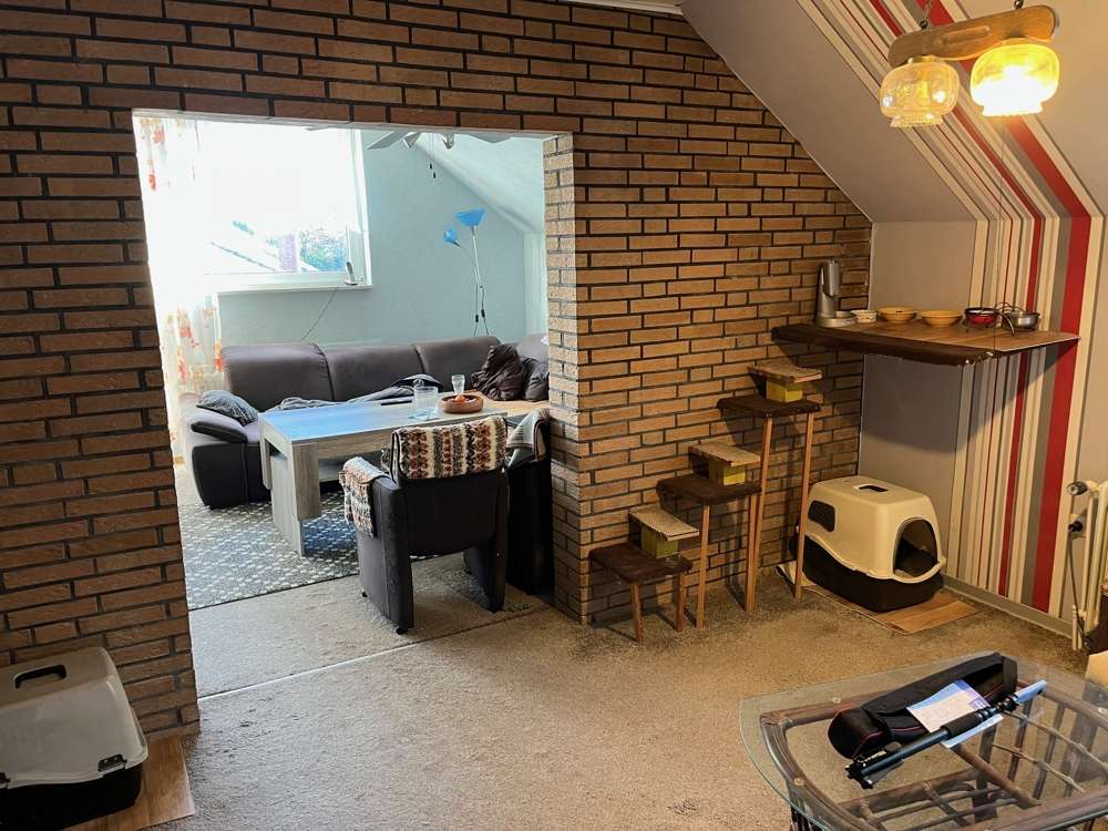 Immobilie in Varel - Gebäudeensemble - ein MIX, der was zu bieten hat. Historische Anlage + selber ebenerdig Wohnen mit T - Bild 11