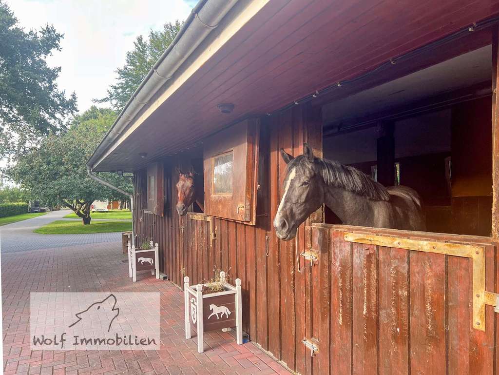 Immobilie in Schiffdorf - Pferde-Ranch mit 2 Wohnungen, Pferdestall und 1 ha Weide mit Offenstall in ruhiger Dorfrand-Lage - Bild 0