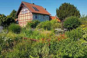 Liebhaberobjekt - zwei restaurierte Fachwerkhäuser mit gepflegtem Garten und Nebengebäuden/Bauplatz – Die vollständige Adresse der Immobilie erhältst du vom Anbieter., 38321 Denkte – Vorschaubild 4