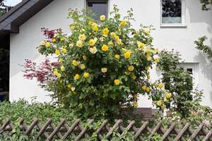 Großes Einfamilienhaus mit Einliegerwohnung, Büro oder Praxis  – Die vollständige Adresse der Immobilie erhältst du vom Anbieter., 14480 Am Stern, Potsdam – Vorschaubild 8