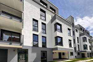 Property thumbnail 19