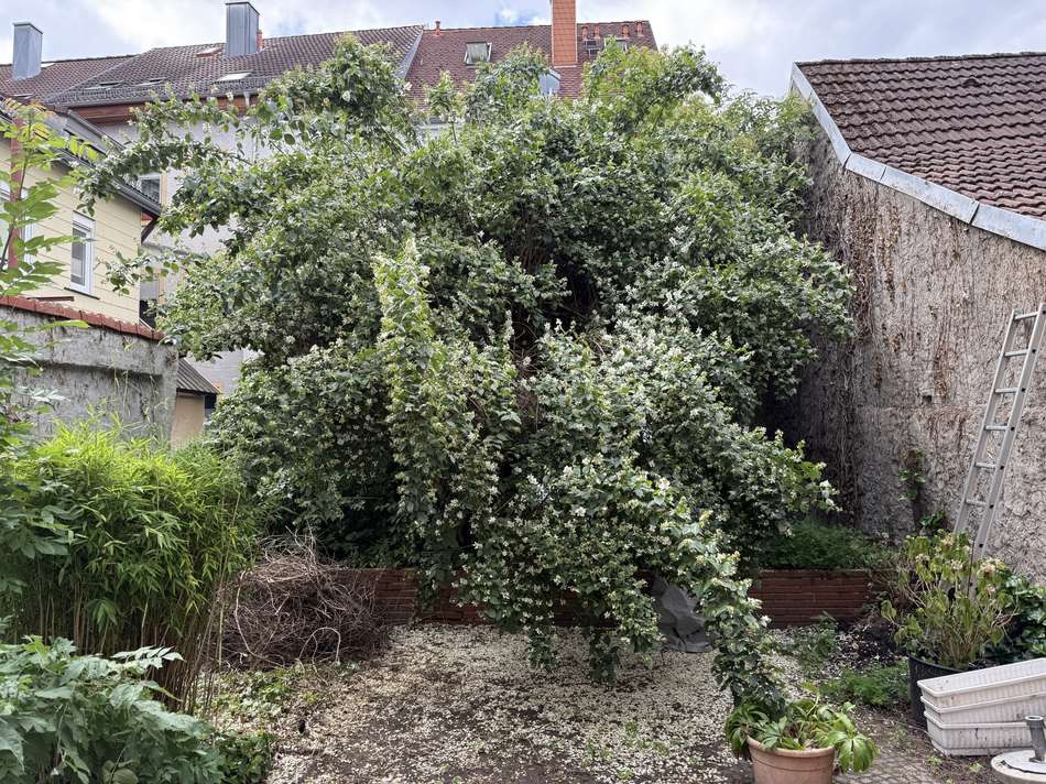 Südgarten