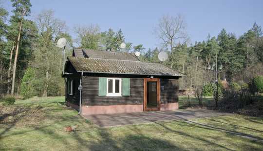 Bild von Ferien- und Wohnhaus mitten im Wald in Ostrittrum