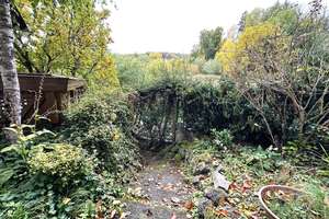Gartenfreunde aufgepasst!
EFH zentral in Königswinter-Thomasberg – Die vollständige Adresse der Immobilie erhältst du vom Anbieter., 53639 Königswinter – Vorschaubild 37