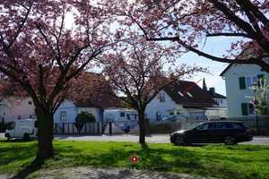 *München Feldmoching* Charmantes, top gepflegtes Einfamilienhaus mit Wohlfühlgarten – München – Vorschaubild 36