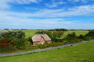 Top Reetdachhaus unterm Nordseedeich in Westerhever – Die vollständige Adresse der Immobilie erhältst du vom Anbieter., 25881 Westerhever – Vorschaubild 4