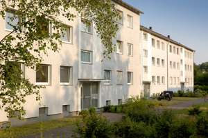 Frisch renovierte 3-Zimmer Wohnung in Bielefeld Senne – Zebraweg 7, 33659 Senne, Bielefeld – Vorschaubild 7